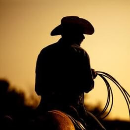 Картини пана Уестърн