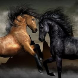 Картини пана Животни