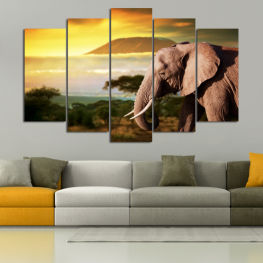 Animal, Wildlife, Animals, Park, Wild, Elephant, Safari, Savanna, National, Bull, Conservation, Tusker, Five, Endangered, Ears, Elephants, Ivory, Tusk, Trunk, Mammal