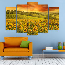 Landscape, Spring, Flower, Summer, Sky, Sunflower, Meadow, Sunny, Plant, Blossom, Field, Yellow, Bright, Sunflowers, Herb, Floral, Outside, Farm, Country, Rural, Growth, Agriculture