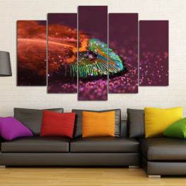 Abstraction, Animal, Space, Modern, Light, Drops, Color, Design, Feather, Fantasy, Futuristic, Shape, Pattern, Glitter, Abstracts, Texture, Digital, Backdrop, Wallpaper, Invertebrate, Technology, Echinoderm, Bangle, Laser, Sea urchin