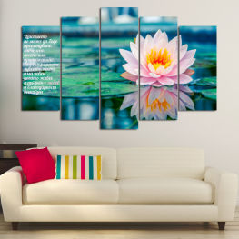 Flowers, Spring, Water, Flower, Lake, Garden, Summer, Exotic, Flora, Natural, Peace, Leaf, Plant, Romantic, Blossom, Bloom, Peaceful, Pink, Petals, Blooming, Floral, Tranquil, Waterlily, Pond, Petal, Botany, Botanical, Lily, Lotus, Aquatic