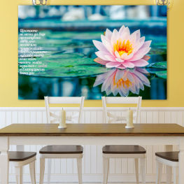 Flowers, Spring, Water, Flower, Lake, Garden, Summer, Exotic, Flora, Natural, Peace, Leaf, Plant, Romantic, Blossom, Bloom, Peaceful, Pink, Petals, Blooming, Floral, Tranquil, Waterlily, Pond, Petal, Botany, Botanical, Lily, Lotus, Aquatic