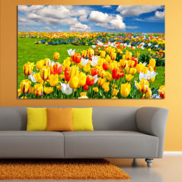 Flowers, Spring, Flower, Garden, Bouquet, Summer, Flora, Natural, Sunny, Colorful, Leaf, Tulip, Plant, Color, Blossom, Outdoors, Park, Field, Yellow, Vivid, Bloom, Season, Floral, Outdoor, Petal, Tulips, Vibrant