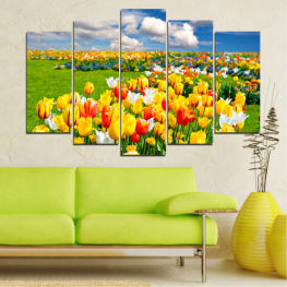 Flowers, Spring, Flower, Garden, Bouquet, Summer, Flora, Natural, Sunny, Colorful, Leaf, Tulip, Plant, Color, Blossom, Outdoors, Park, Field, Yellow, Vivid, Bloom, Season, Floral, Outdoor, Petal, Tulips, Vibrant