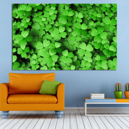 Flowers, Spring, Garden, Bouquet, Flora, Luck, Natural, Leaf, Fresh, Plant, Clover, Vegetable, Herb, Pattern, Vascular plant, Texture, Close, Foliage, Common wood sorrel, Common duckweed, Duckweed, Aquatic plant, Sorrel