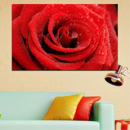 Flowers, Flower, Garden, Rose, Drops, Love, Wedding, Plant, Romantic, Blossom, Romance, Gift, Bloom, Roses, Petals, Floral, Petal, Anniversary, Valentine, Close, Sealing wax