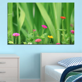 Flowers, Nature, Spring, Flower, Garden, Summer, Natural, Meadow, Leaf, Grass, Tulip, Plant, Field, Bright, Environment, Herb, Season, Close, Growth, Lawn, Dandelion, East wind