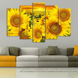 Spring, Flower, Sun, Garden, Summer, Flora, Sunflower, Sunny, Leaf, Plant, Blossom, Field, Yellow, Bright, Sunflowers, Pollen, Petal, Rural, Growth, Agriculture