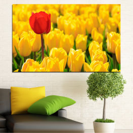 Flowers, Spring, Flower, Garden, Bouquet, Summer, Flora, Colorful, Leaf, Tulip, Plant, Purple, Blossom, Field, Yellow, Bloom, Floral, Seasonal, Tulips, Grow