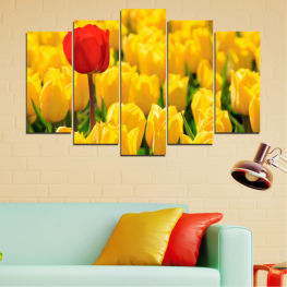 Flowers, Spring, Flower, Garden, Bouquet, Summer, Flora, Colorful, Leaf, Tulip, Plant, Purple, Blossom, Field, Yellow, Bloom, Floral, Seasonal, Tulips, Grow