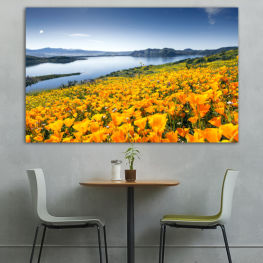 Flowers, Landscape, Spring, Flower, Mountain, Summer, Meadow, Poppy, Tulip, Plant, Field, Yellow, Season, Vascular plant, Rural, Angiosperm, Day lily, Spermatophyte, Gorse