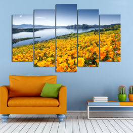 Flowers, Landscape, Spring, Flower, Mountain, Summer, Meadow, Poppy, Tulip, Plant, Field, Yellow, Season, Vascular plant, Rural, Angiosperm, Day lily, Spermatophyte, Gorse