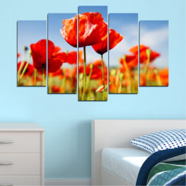 Flowers, Spring, Flower, Garden, Bouquet, Summer, Flora, Meadow, Poppy, Leaf, Tulip, Plant, Blossom, Field, Bloom, Floral, Petal, Tulips, Grow