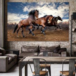 Landscape, Animal, Wildlife, Horse, Meadow, Grass, Field, Clouds, Brown, Farm, Pasture, Thoroughbred, Ranch, Rural, Horses, Mammal, Vaulting horse, Stallion, Equine, Gymnastic apparatus, Equestrian, Mare, Sports equipment