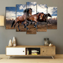 Landscape, Animal, Wildlife, Horse, Meadow, Grass, Field, Clouds, Brown, Farm, Pasture, Thoroughbred, Ranch, Rural, Horses, Mammal, Vaulting horse, Stallion, Equine, Gymnastic apparatus, Equestrian, Mare, Sports equipment