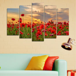 Flowers, Landscape, Spring, Flower, Garden, Summer, Flora, Meadow, Poppy, Grass, Tulip, Plant, Blossom, Field, Bloom, Floral, Tulips, Grow, Cape tulip, Blood lily
