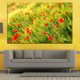 Flowers, Landscape, Spring, Flower, Garden, Summer, Meadow, Poppy, Grass, Plant, Blossom, Field, Bloom, Herb, Season, Vascular plant, Rural, Agriculture, Asparagus fern, Poppies