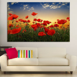 Flowers, Landscape, Spring, Flower, Garden, Summer, Meadow, Poppy, Grass, Plant, Blossom, Field, Bloom, Vascular plant, Rural, Agriculture, Angiosperm, Spermatophyte, Poppies