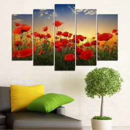 Flowers, Landscape, Spring, Flower, Garden, Summer, Meadow, Poppy, Grass, Plant, Blossom, Field, Bloom, Vascular plant, Rural, Agriculture, Angiosperm, Spermatophyte, Poppies