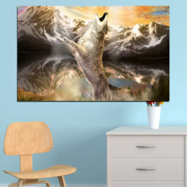 Ζώο, Άγρια ​​ζωή, Νερό, Βουνό, Των ζώων, Λύκος, Χιόνι, Φτερό, Πάρκο, Άγριος, Πουλί, Καφέ, Σαφάρι, Κεφάλι, Υδρόβιο πτηνό, Χήνα, Φτερά, Ράμφος, Θηλαστικό ζώο, Υδρόβιο πουλί, Πτέρυγα, Πέταγμα