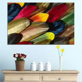 Абстракция, Цвете, Градина, Флора, Светлина, Цветен, Растение, Цвят, Пера, Портокал, Жълт, Модел, Цветен, Венчелистче, Текстура, Инструмент за писане, Близо, Балон, Перо, Гребло