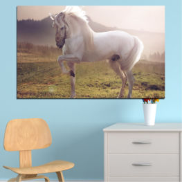 Animal, Horse, Meadow, Grass, Portrait, Field, Brown, Farm, Pasture, Ranch, Rural, Horses, Mammal, Stallion, Equine, Equestrian, Mare, Mane, Chestnut