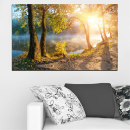 Landscape, Nature, Water, Sun, Forest, Tree, Trees, Autumn, Leaf, Leaves, Plant, Outdoors, Park, Orange, Yellow, Fall, Woody plant, Season, Vascular plant, Foliage, Scenery, Shrub, Scene