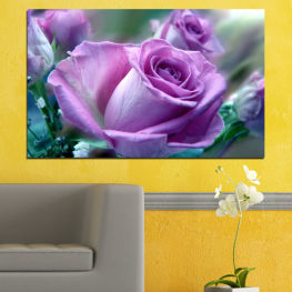 Flowers, Spring, Flower, Garden, Bouquet, Summer, Flora, Rose, Leaf, Plant, Purple, Blossom, Bloom, Pink, Petals, Blooming, Floral, Petal, Close, Shrub