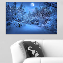 Пейзаж, Гора, Дърво, Дървета, Луна, Нощ, Сняг, Зима, На открито, Парк, Сезон, Метеорологично време, Клон, Скреж, Замръзнал, Студ, Заден план, Екран