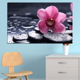 Flowers, Feng shui, Orchid, Spring, Flower, Garden, Exotic, Flora, Natural, Zen, Stones, Spa, Drops, Plant, Blossom, Bloom, Closeup, Pink, Petals, Blooming, Floral, Pebble, Petal, Botany, Close