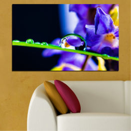 Цветя, Природа, Космос, Светлина, Цветен, Капки, Графичен, Лилаво, Цвят, Дизайн, Фантазия, Движение, Текстура, Вещи, Дигитален, Тапет, Фрактал, Устройство, Сдържаност, Закопчалка, Щипка за пране