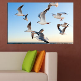 Wildlife, Water, Birds, Ocean, Sky, Feather, Wings, Seagull, Bird, Freedom, Goose, Aquatic bird, Flying, Flight, Gull, Seabird, Pelican, Coastal diving bird