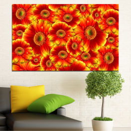 Flowers, Spring, Flower, Daisy, Garden, Bouquet, Summer, Flora, Collage, Colorful, Plant, Gerbera, Blossom, Orange, Yellow, Bloom, Herb, Petals, Floral, Petal, Botany, Vascular plant