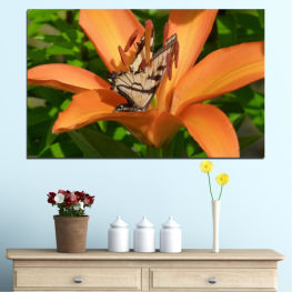 Flowers, Nature, Spring, Flower, Garden, Summer, Butterfly, Flora, Sunflower, Leaf, Plant, Blossom, Yellow, Bloom, Petals, Floral, Pollen, Petal, Botany, Gardening, Lily, Close
