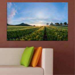 Τοπίο, Φύση, Ανατολή ηλίου, Άνοιξη, Ήλιος, Δέντρο, Καλοκαίρι, Λιβάδι, Ηλιόλουστος, Ορίζοντας, Γρασίδι, Φυτό, Πεδίο, Σύννεφο, Γη, Θεαματικός, Αγρόκτημα, Χώρα, Αγροτικός, Τοπίο, Εξοχή, Γεωργία