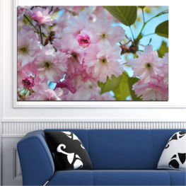Flowers, Nature, Spring, Flower, Tree, Garden, Bouquet, Leaf, Plant, Blossom, Bloom, Herb, Pink, Woody plant, Blooming, Floral, Branch, Petal, Vascular plant, Shrub, Spirea