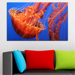 Animal, Water, Space, Light, Graphic, Color, Flame, Design, Fantasy, Jellyfish, Futuristic, Graphics, Motion, Shape, Pattern, Texture, Digital, Wallpaper, Fractal, Invertebrate