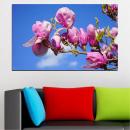 Flowers, Nature, Spring, Flower, Tree, Garden, Bouquet, Flora, Colorful, Tulip, Plant, Purple, Blossom, Bloom, Herb, Pink, Floral, Petal, Vascular plant, Tulips, Valentine, Stem