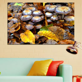 Природа, Гора, Дърво, Естествен, Дърво, Есен, Листа, Растение, Храна, Гъби, Плодове, Жълт, Охлюв, Зеленчук, Черупка, Падане, Кафяв, Произвеждат, Семе, Жълъд, Гъба, Гъбички