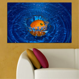 Animal, Water, Light, Fire, Colorful, Drops, Night, Star, Graphic, Fruits, Color, Design, Black, Holiday, Orange, Jellyfish, Celebration, Glow, Digital, Invertebrate, Citrus