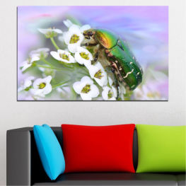 Flowers, Animal, Spring, Flower, Tree, Garden, Flora, Leaf, Plant, Blossom, Bloom, Beetle, Herb, Blooming, Floral, Branch, Petal, Vascular plant, Insect, Close, Cow parsley