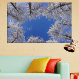 Landscape, Forest, Tree, Trees, Sky, Wood, Plant, Snow, Winter, Outdoors, Park, Woody plant, Season, Branch, Outdoor, Vascular plant, Atmosphere, Birch, Silver tree