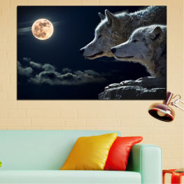 Animal, Wildlife, Animals, Moon, Night, Wolf, Portrait, Wild, Canine, Head, Farm, Cute, Mammal, Ears, Predator, Domestic, Nose