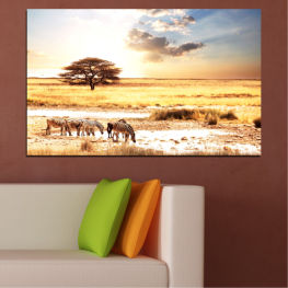 Landscape, Animal, Summer, Meadow, Horizon, Grass, Africa, Field, Clouds, Land, Zebra, Antelope, Outdoor, Farm, Country, Wheat, Rural, Countryside, Agriculture, Giraffe, Impala