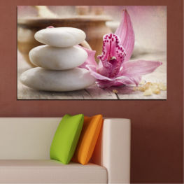 Flowers, Feng shui, Orchid, Spring, Flower, Garden, Bouquet, Flora, Natural, Zen, Stones, Spa, Leaf, Plant, Blossom, Bloom, Pink, Petals, Floral, Pebble, Petal, Botany, Close, Magnolia