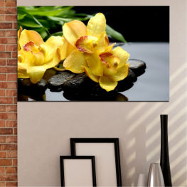 Flowers, Orchid, Water, Flower, Garden, Zen, Stones, Spa, Leaf, Fresh, Plant, Color, Food, Orange, Fruit, Yellow, Herb, Floral, Petal, Vascular plant, Edible fruit, Close, Produce, Citrus, Lemon, Garnish