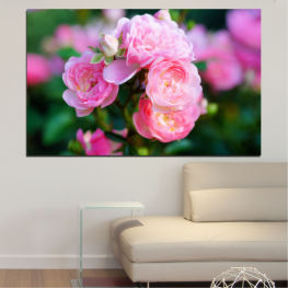 Flowers, Spring, Flower, Garden, Bouquet, Flora, Rose, Leaf, Love, Plant, Blossom, Bloom, Pink, Roses, Petals, Floral, Petal, Valentine, Shrub