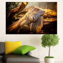 Animal, Wildlife, Tropical, Dragon, Wild, Turtle, Shell, Reptile, Guana, Vertebrate, Tortoise, Iguana, Lizard, Common iguana, Slow, Scale, Conservation, Endangered, Close