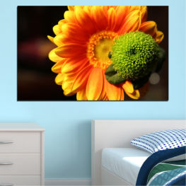 Flowers, Spring, Flower, Daisy, Garden, Summer, Flora, Collage, Sunflower, Plant, Gerbera, Color, Blossom, Orange, Yellow, Bright, Bloom, Petals, Blooming, Floral, Petal, Botany, Close